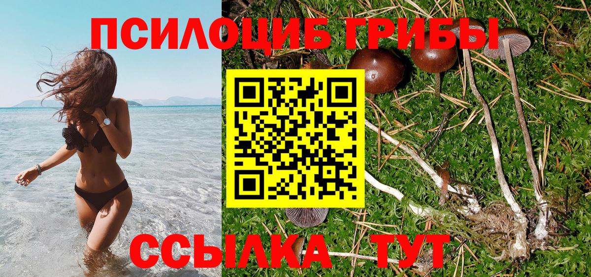 Бутират Муром